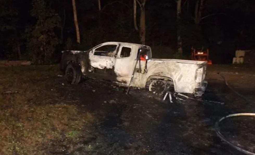 Two Dogs Died in a Truck Fire
