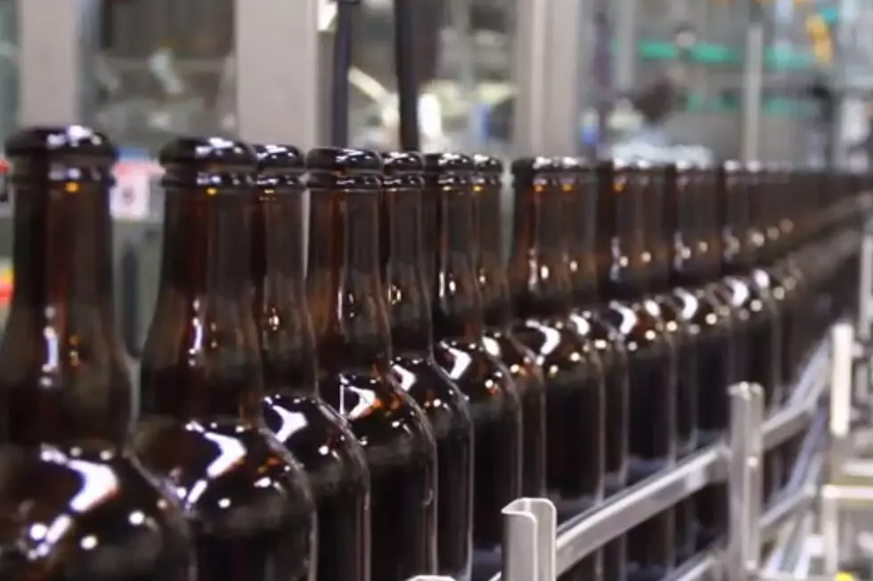 Watch and Learn About the Maine Craft Brew Industry [VIDEO]