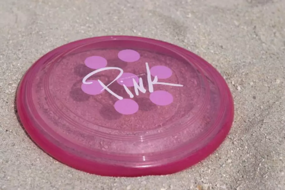 Introduction to Frisbee Class Slated for Woodstock