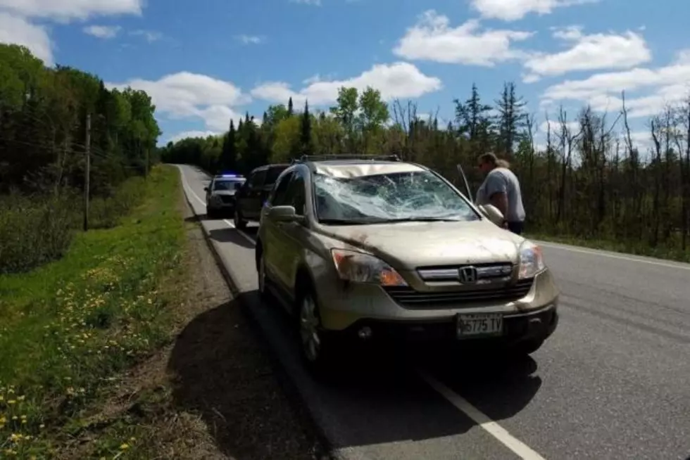 Woman Uninjured in Route 11 Moose Crash