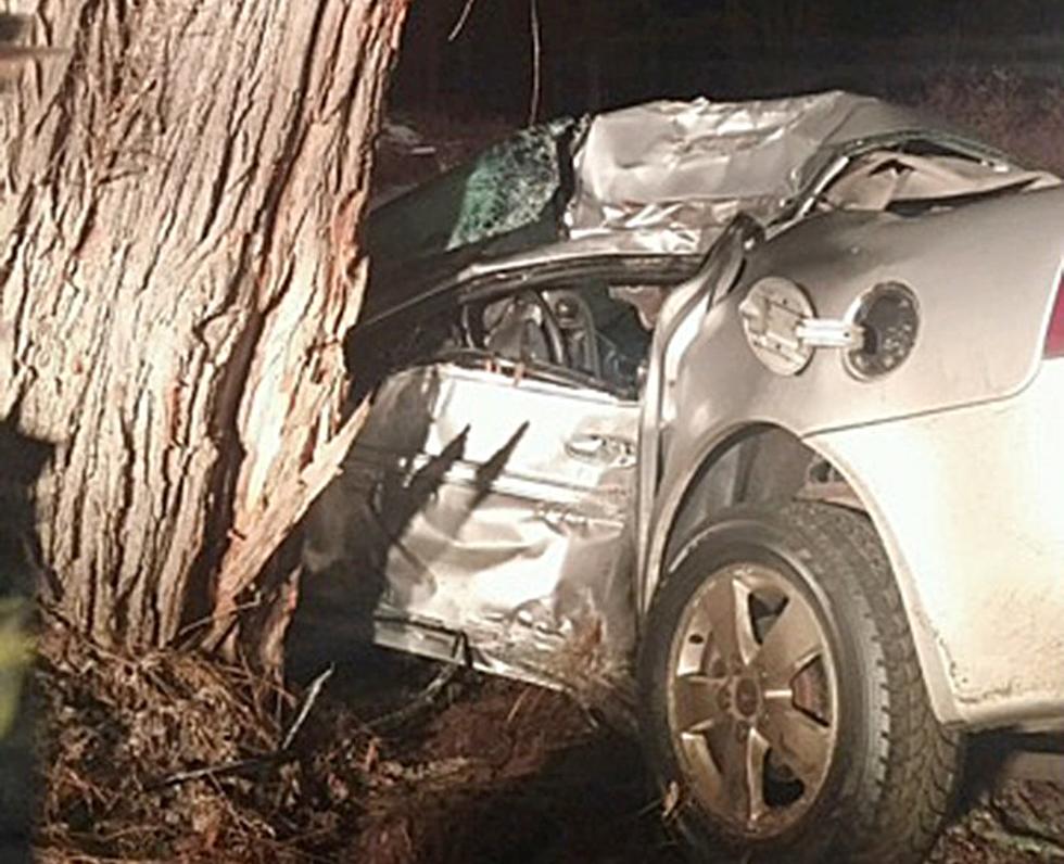 19-Year Old Maine Man Dies in Tree Collision