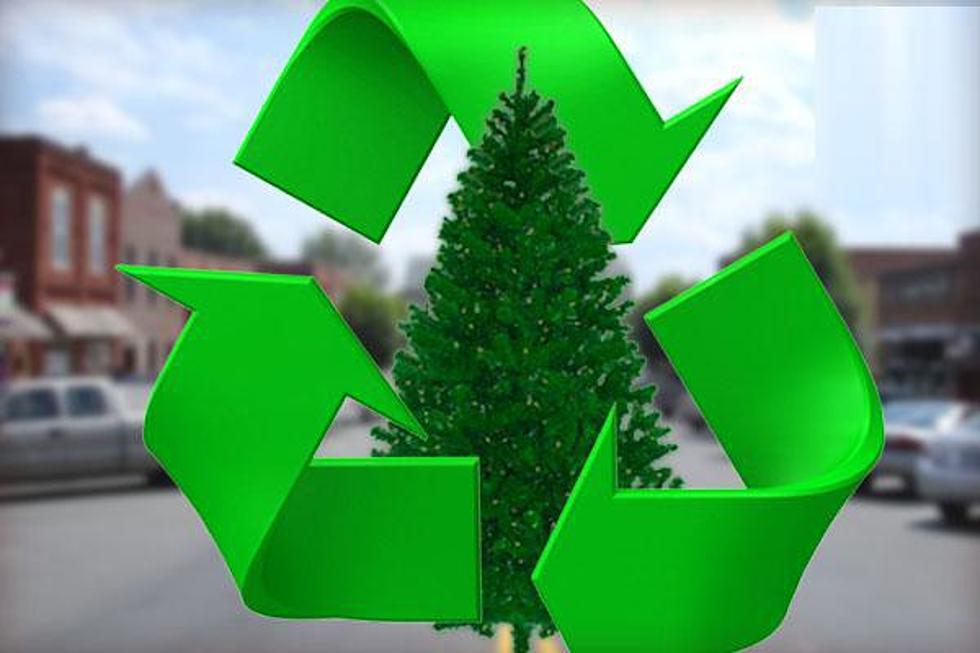 New Brunswickers Encouraged to Think Green This Christmas