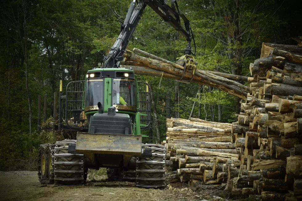 Mechanized Logging Program Training Underway