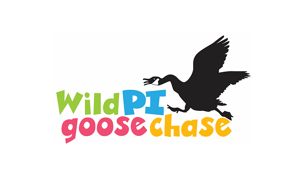 We’re Sending You on a Wild Goose Chase