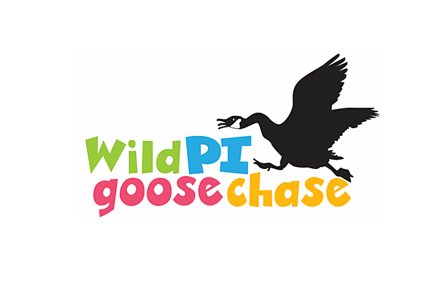 We&#8217;re Sending You on a Wild Goose Chase