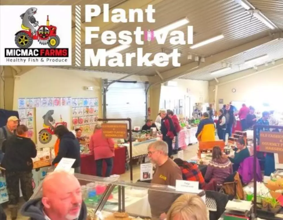 Plant Festival Market to Celebrate County Agriculture