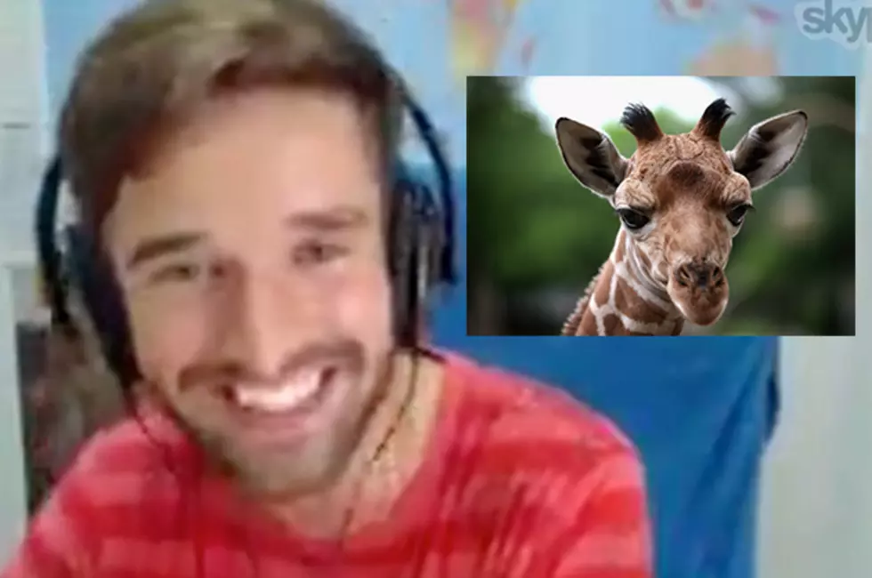 Check Out This Amazing Skype Interview With Andrew Strugnell, The Man Behind The Great Giraffe Facebook Riddle [VIDEO]