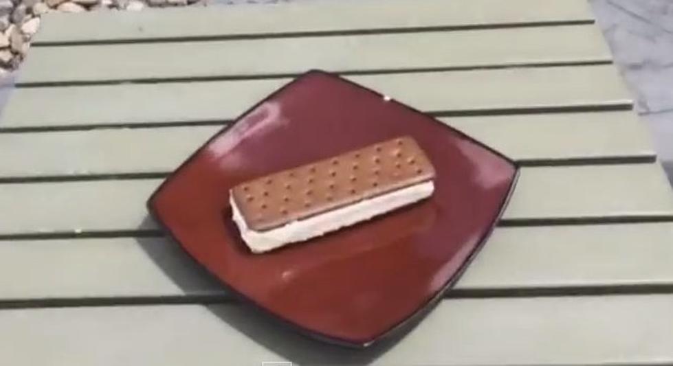 Man Demonstrates How Walmart Ice Cream Sandwiches Don’t Melt [VIDEO]