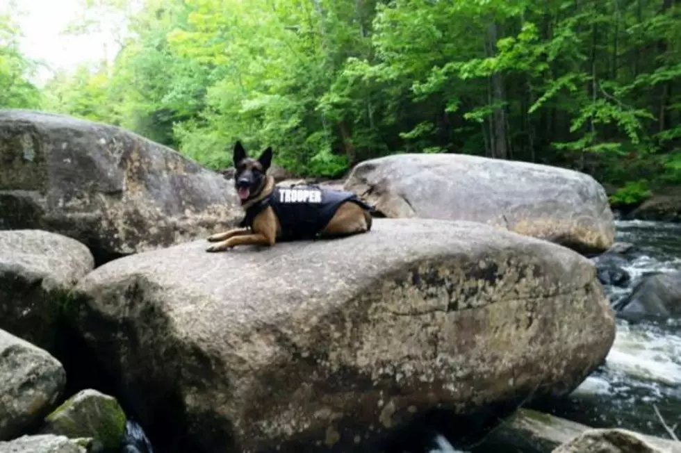 Troop F – Maine State Police Weekly Report for June 7 – 14