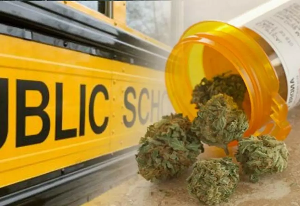 First Maine School District Announces Medical Marijuana Policy
