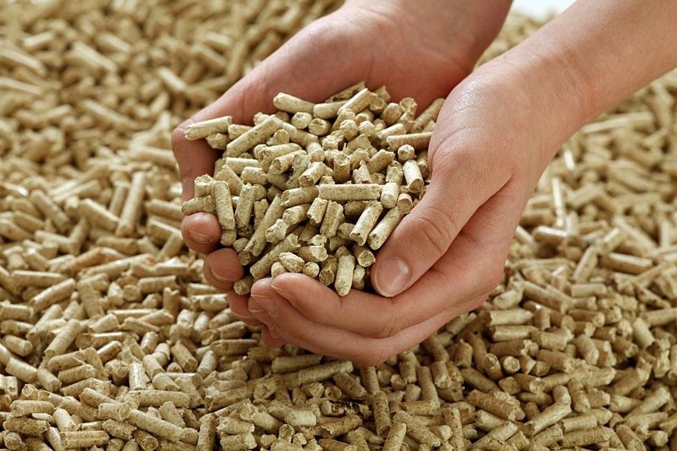 U-Maine System Say They’re Not the Reason Northeast Pellets is Cutting Staff