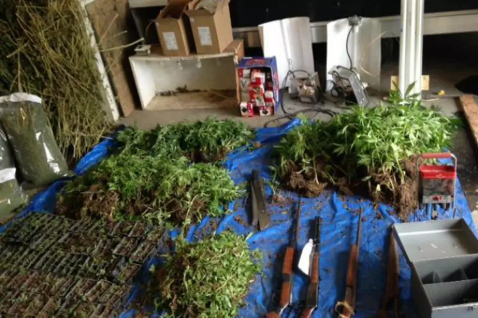 Man Faces More Charges in Bairdsville Marijuana Bust
