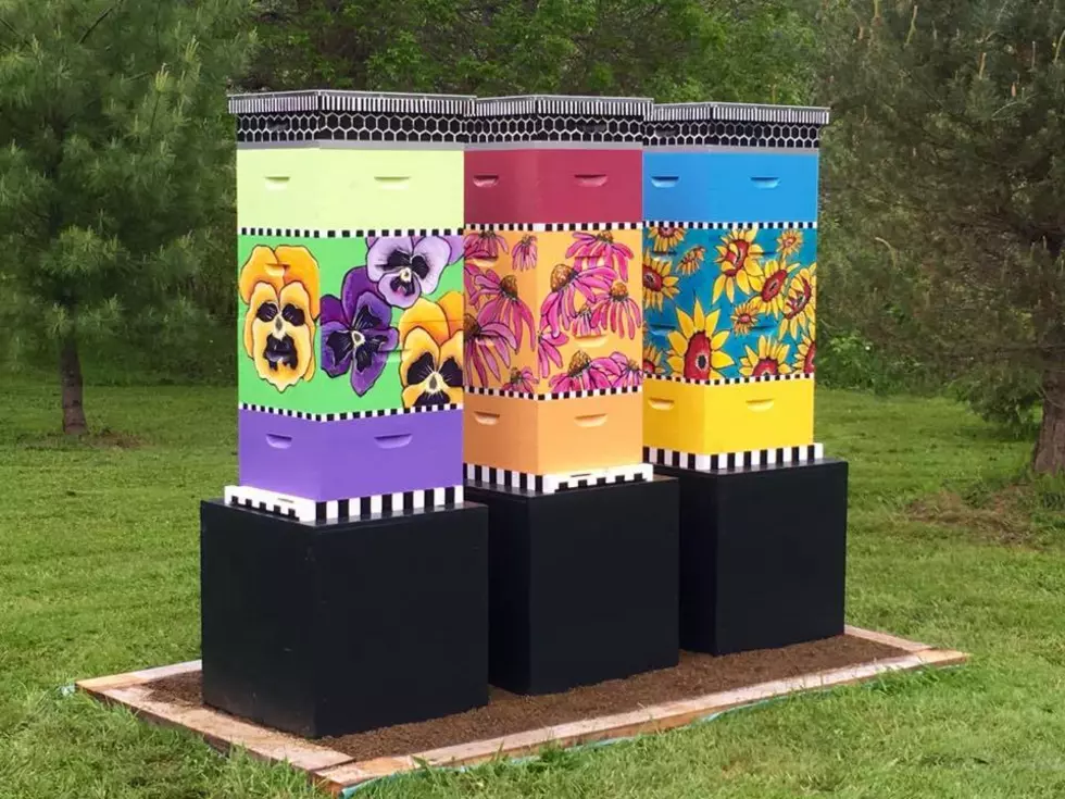 Just Looking Around: Painted Beehives at New Brunswick Botanical Garden
