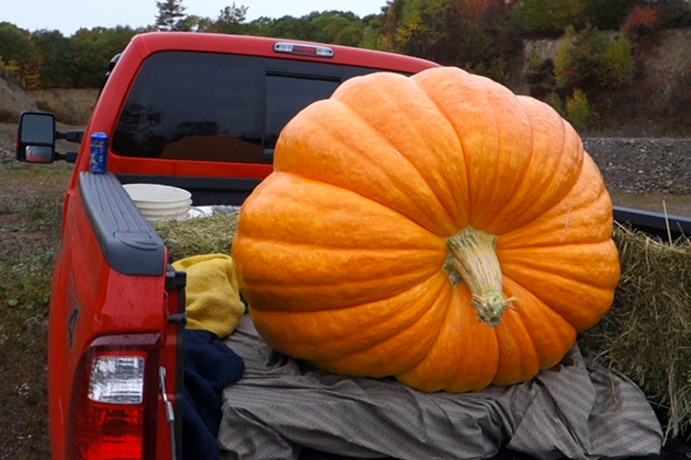WATCH: Mainers Blow Up a 425 Pound Pumpkin with Tannerite in Windsor, Maine