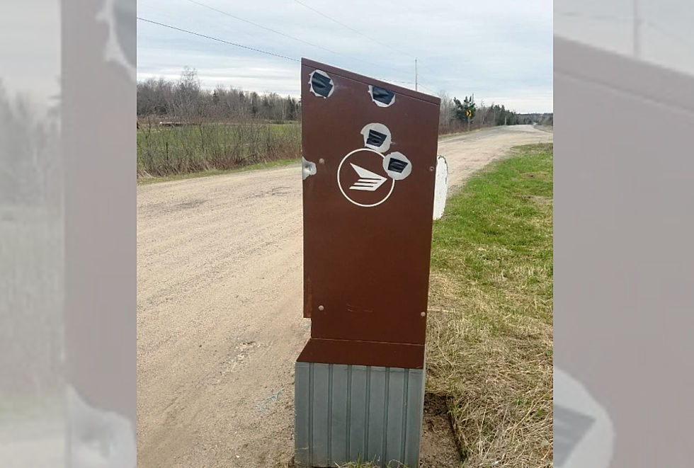RCMP Want To Identify Suspects In a Shooting Of a Community Mailbox [PHOTO]