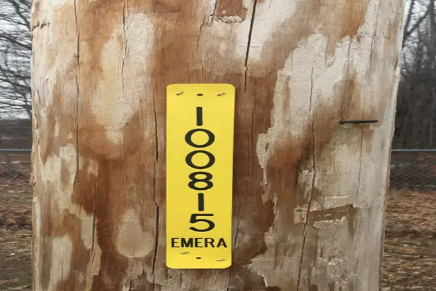 Emera Maine Installs Pole Numbers For Quick Response Times