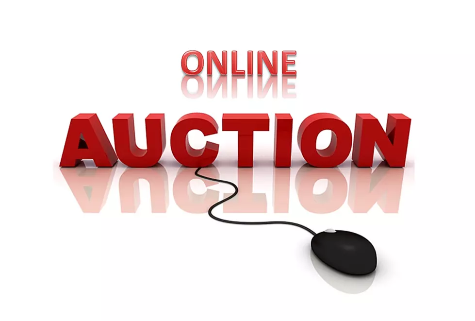 Seize the Deal Online Auction Now in Progress