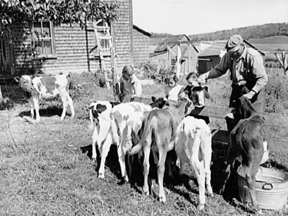 Life on the Farm in Aroostook County in 1942 [Vintage Photos]