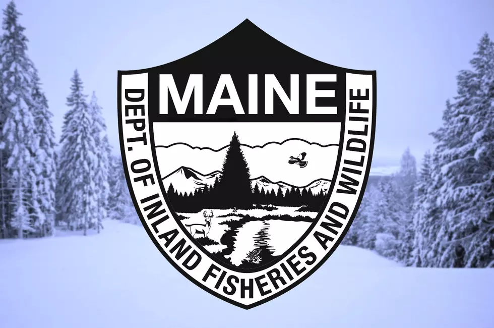 Woman Dies After Snowmobile Crash in Andover, Maine