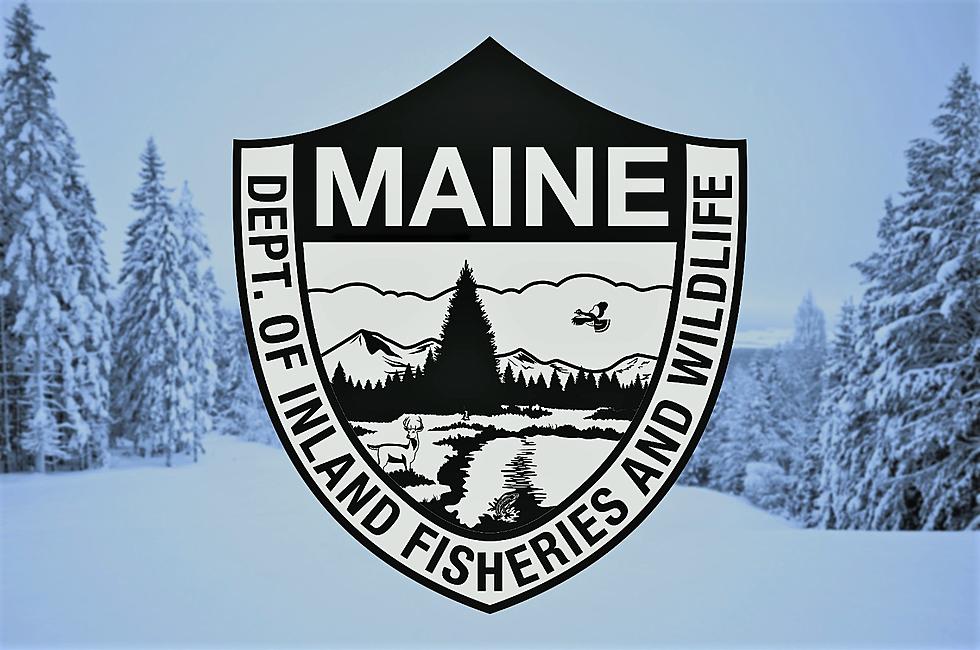 Woman Dies in Snowmobile Crash in Northwestern Maine
