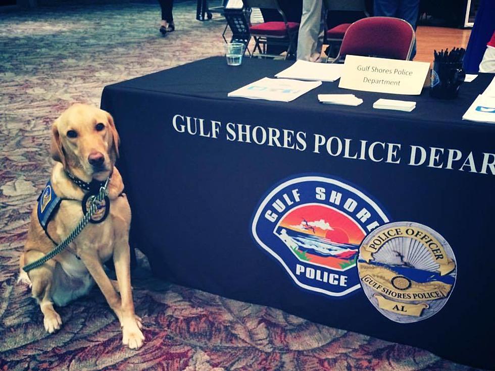 Gulf Shores Police Dog Dies After Being Left in Hot Patrol Car