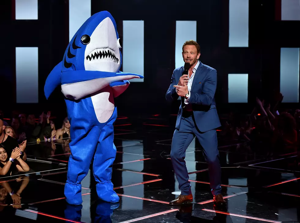 See What Katy Perry’s Left Shark Is up to This ‘Shark Week’