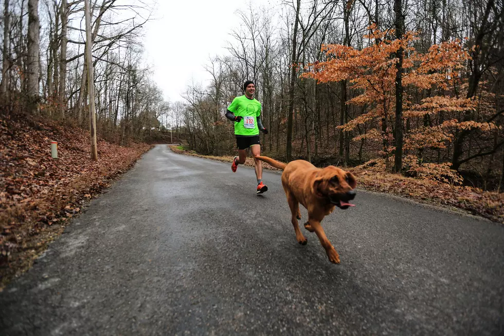 Dog Sneaks Into North Alabama Half Marathon, Finishes 7th [PHOTOS]