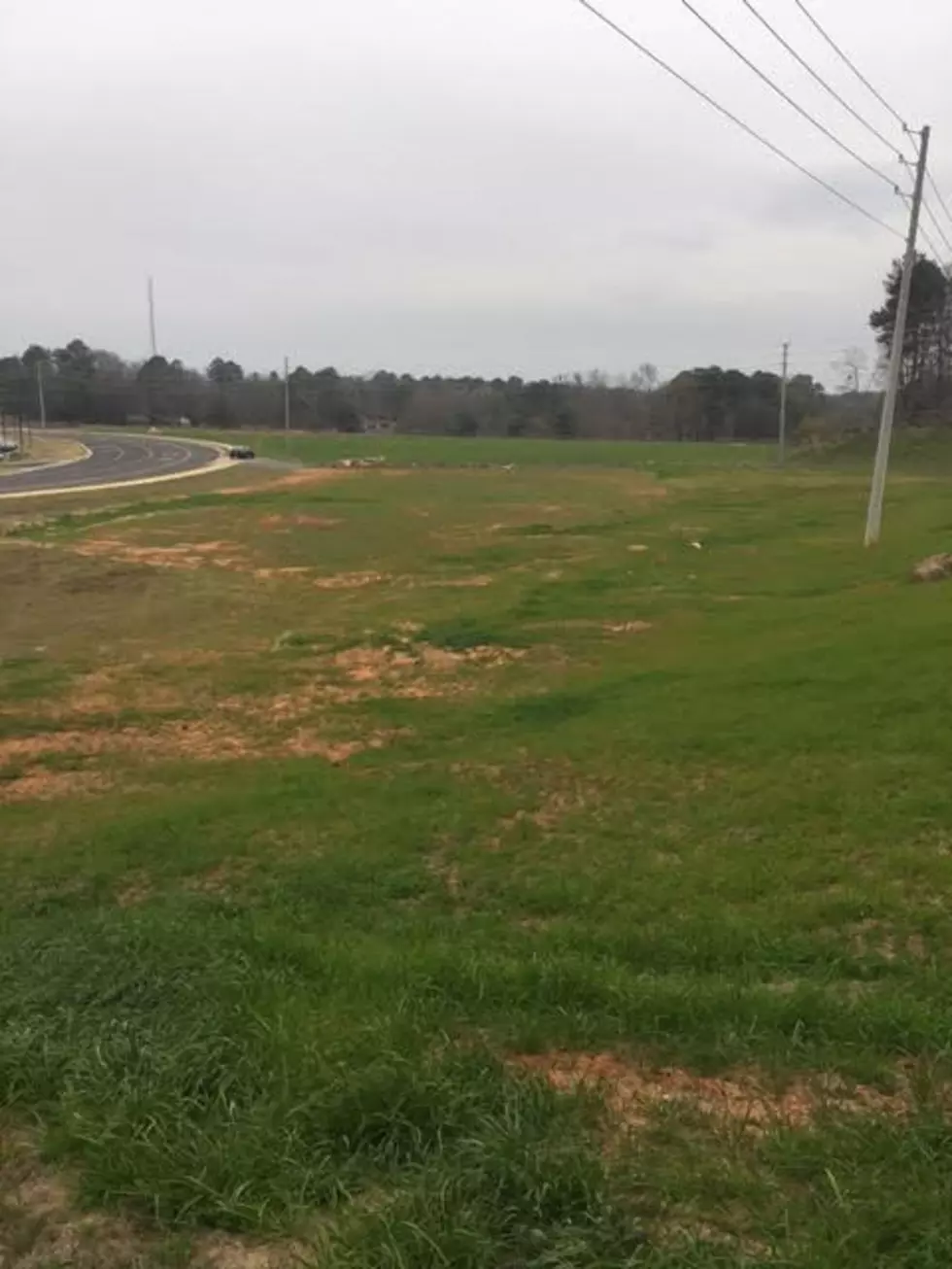 What Should Tuscaloosa Build On This Vacant Lot?