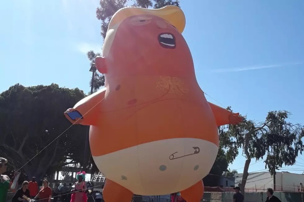 Will the Baby Trump Balloon Be in Tuscaloosa This Weekend?