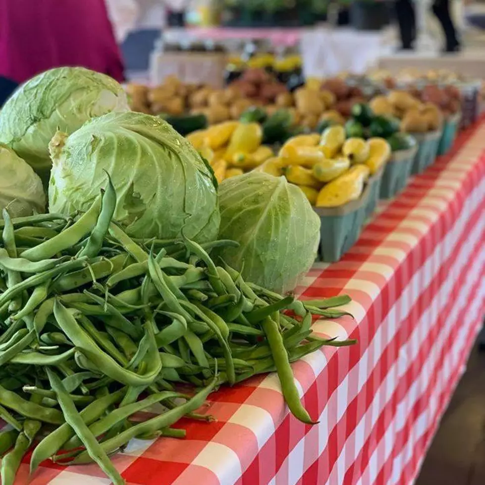The City of Tuscaloosa's Pop-Up Farmers Market Has Returned
