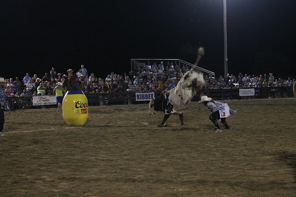 Traveling Rodeo Comes to Tuscaloosa, Includes Fans