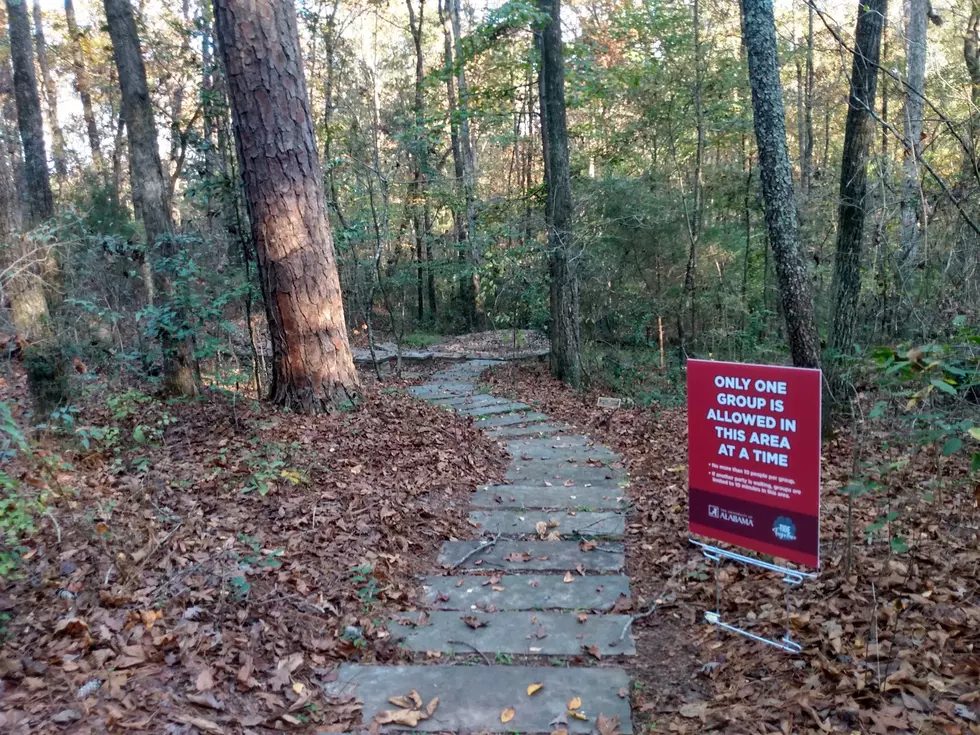The University of Alabama Arboretum Has Reopened to the Public