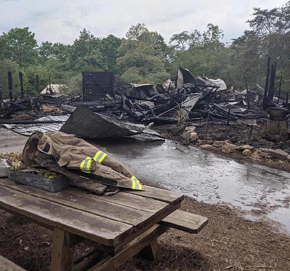 Early Morning Fire Devastates Petting Zoo in Gadsden, Alabama