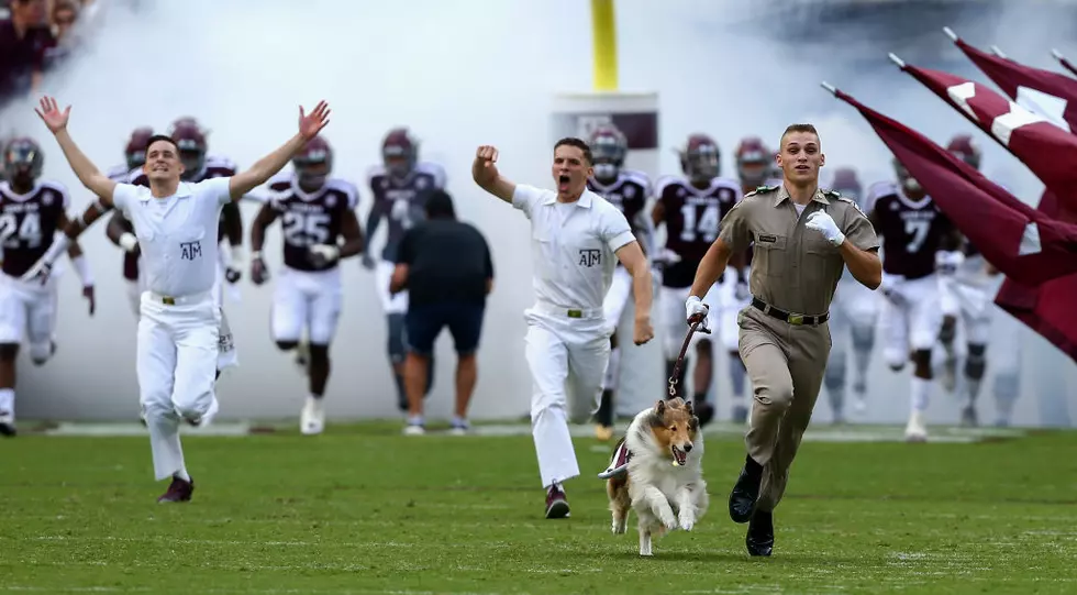 Bjork introduced as Texas A&M’s athletic director