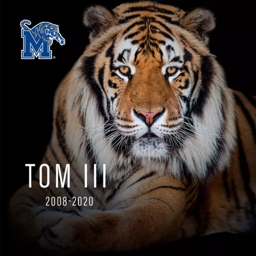 Memphis Tigers Mascot, TOM III, Dies