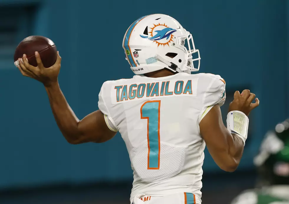 Everything You Need to Know as a New Dolphins Fan