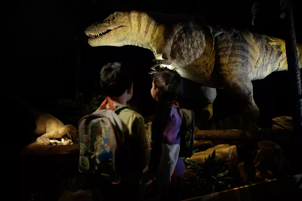 Win Tickets to see Dinosaurs 