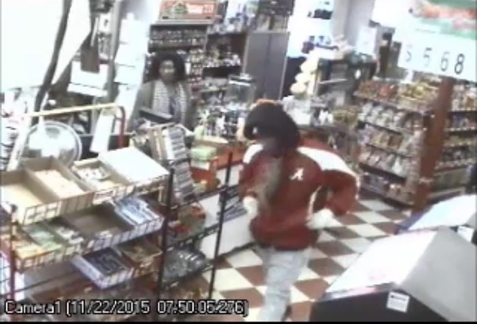 Northport Police Searching For Robbery Suspect