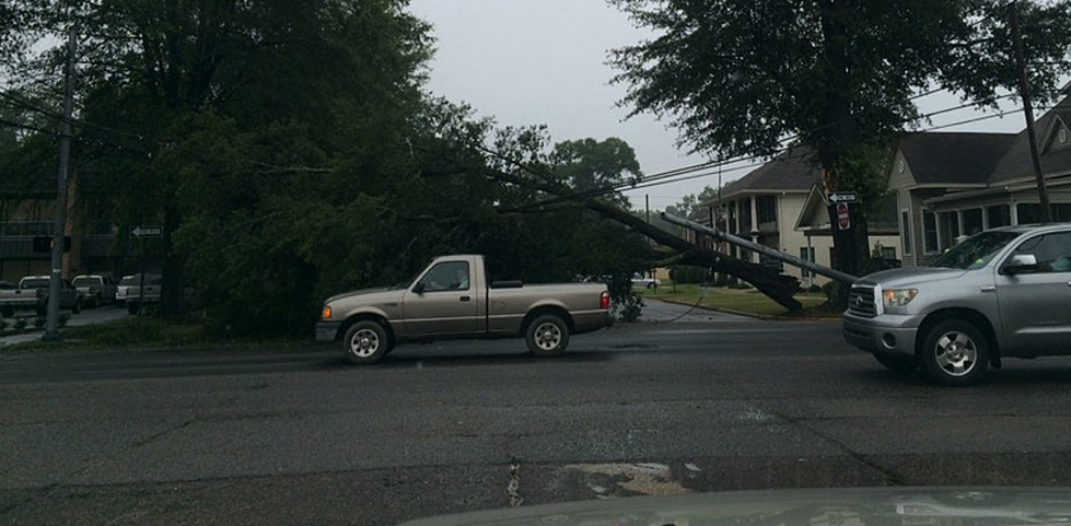 Tree Down With Power Lines on 6th Street in Tuscaloosa
