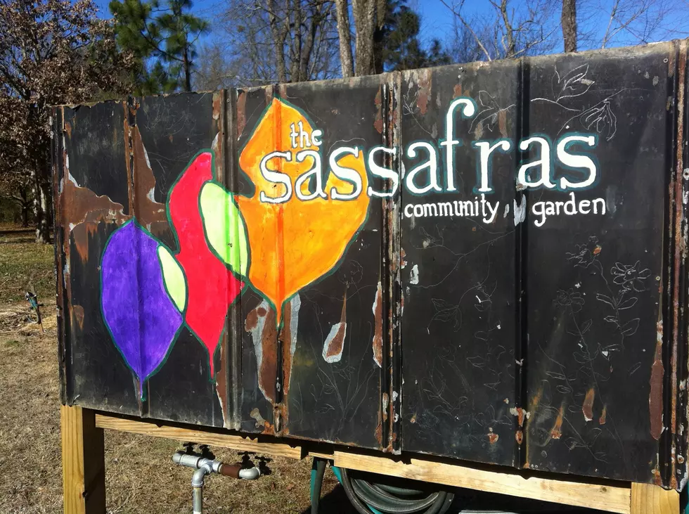 Tuscaloosa Brewery Hosting Fundraiser for Sassafras Center for Arts and Environment