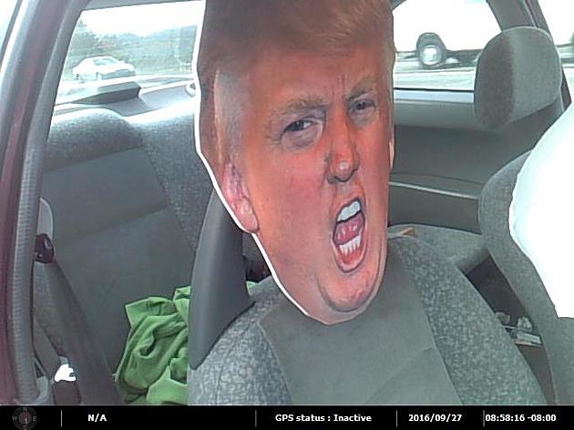 Guy Busted In Carpool Lane With Donald Trump Cutout