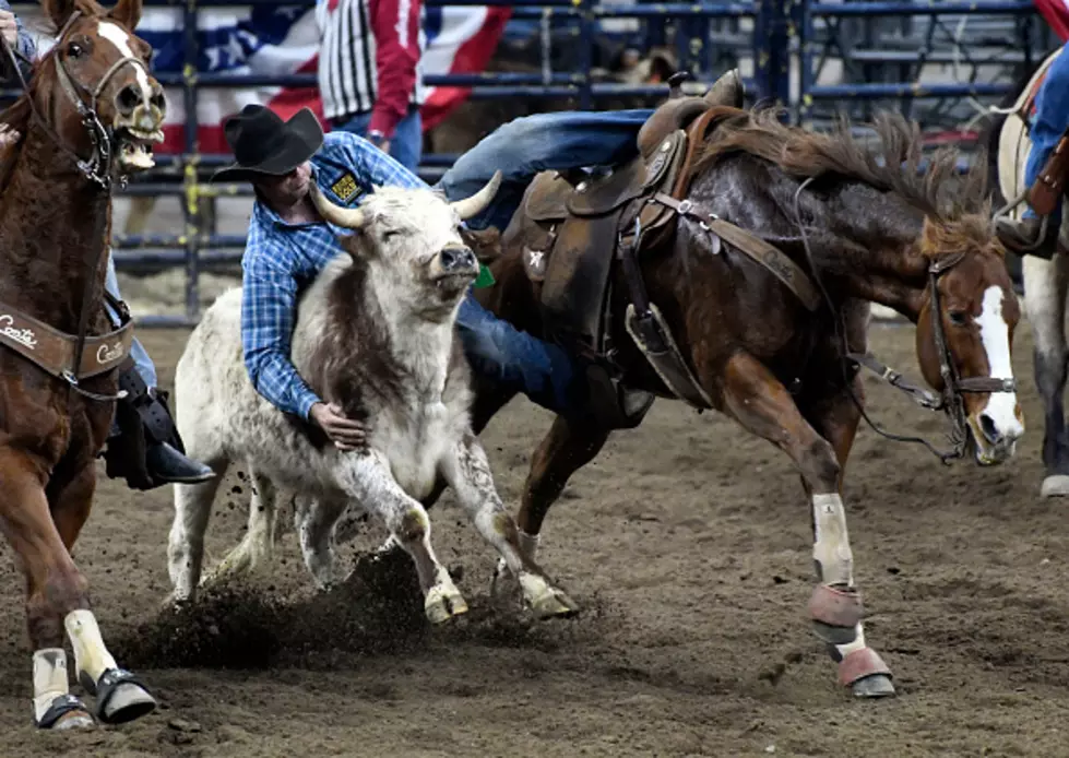 Alabama: Family Friendly Rodeo Promises First Class Entertainment