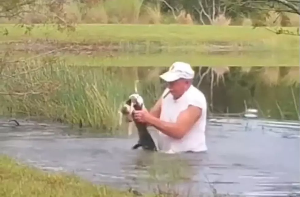 Video: 74yr Old Man Saves His Dog From Death By Wrestling A Gator