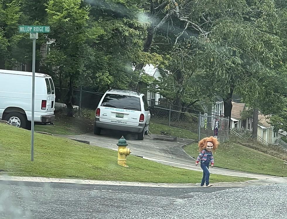 5-Year-Old Chucky Spotted in Alabama