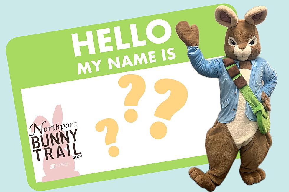 Help Name the New Adorable Addition to the Northport Bunny Trail