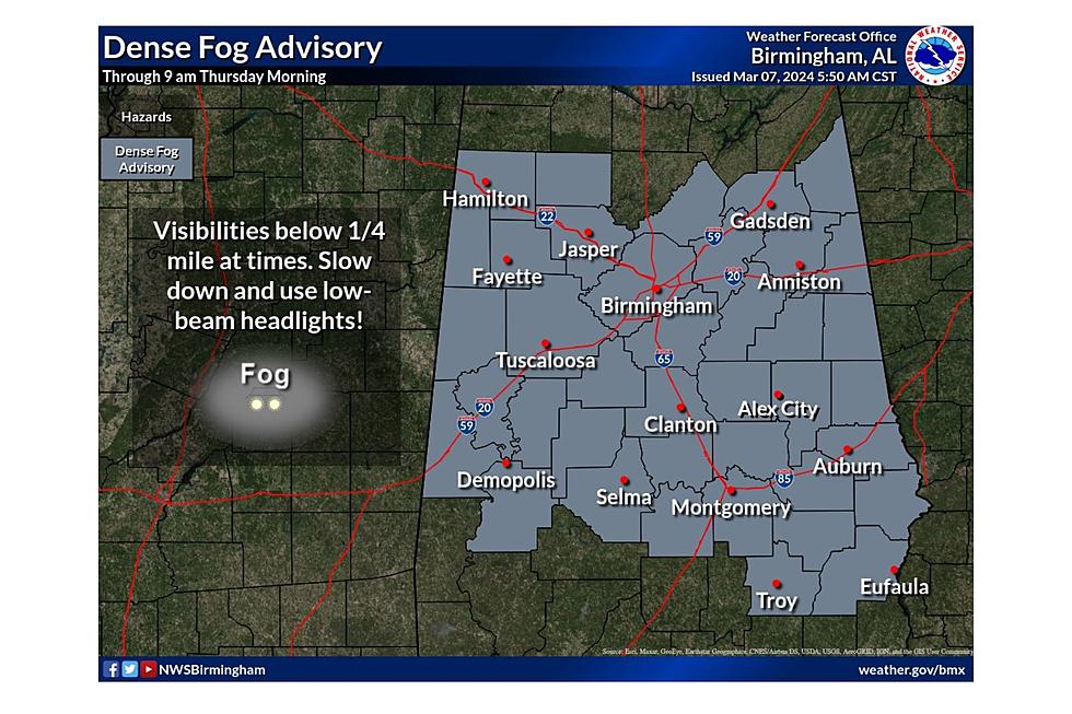 Alabama Drivers Use Caution: Low Visibility Due to Dense Fog