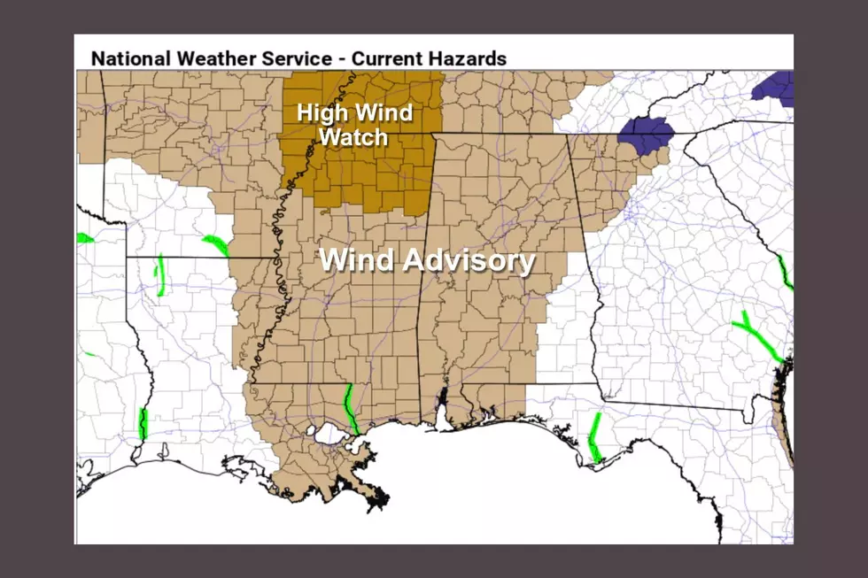 Stay Informed About Possible Strong Wind Gusts Across Alabama