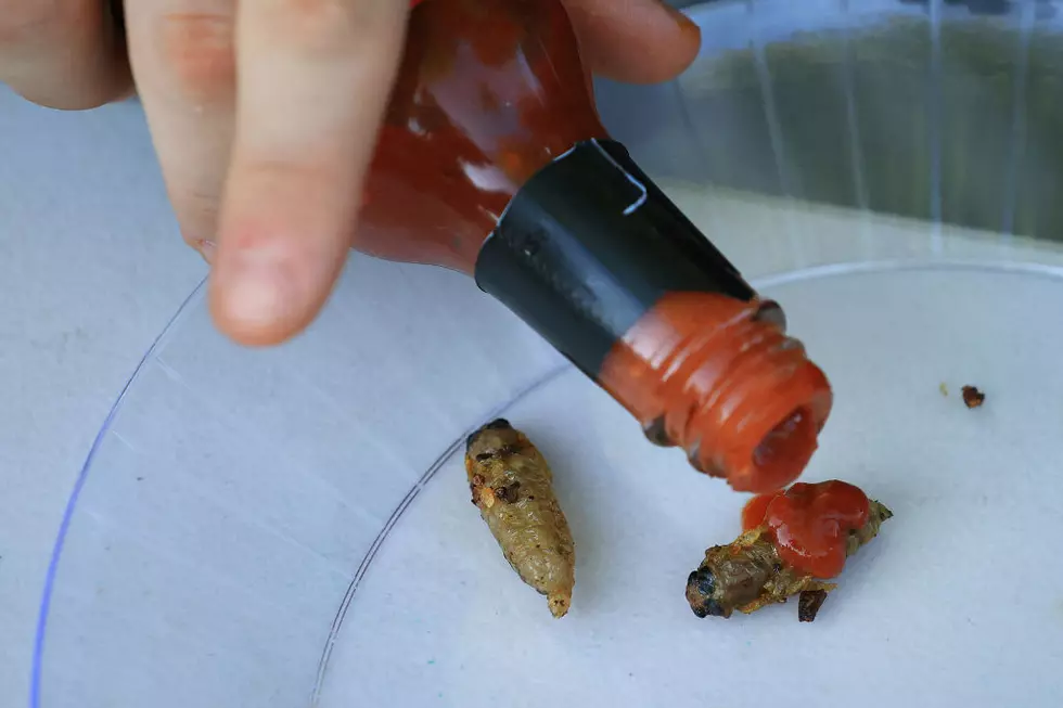 Alabama: Cicada’s Are Safe To Eat & Delicious Too!