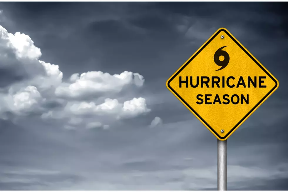 2024 Hurricane Names Released: Is Your Name on the List?
