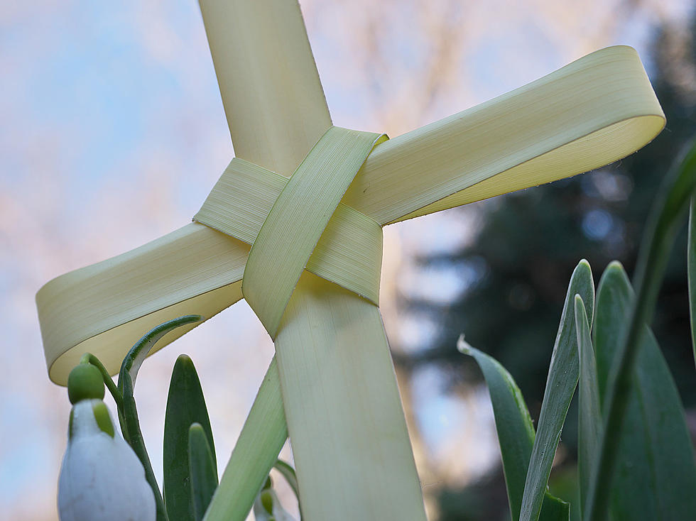 Tuscaloosa…What is Palm Sunday?